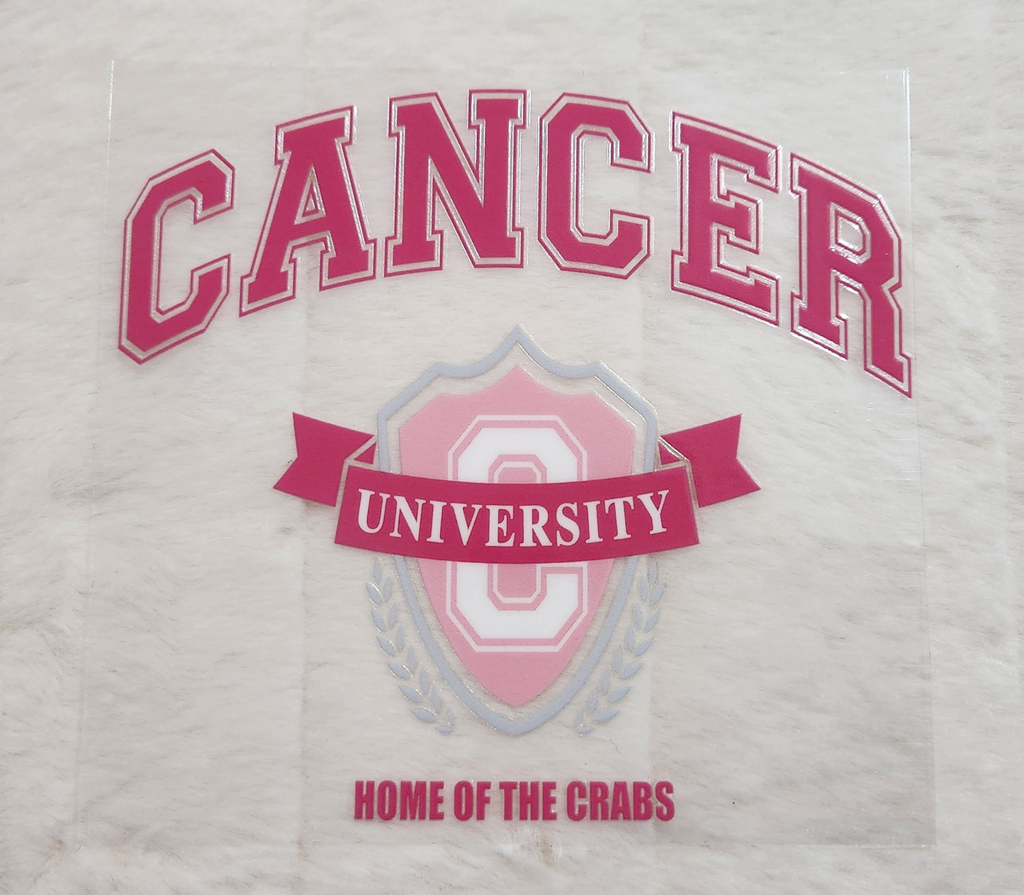 16oz Zodiac University UV DTF Decals