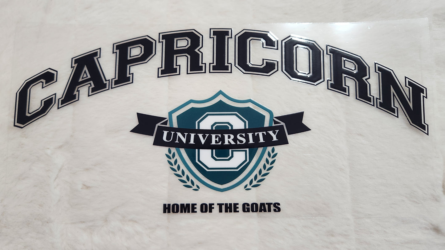 16oz Zodiac University UV DTF Decals